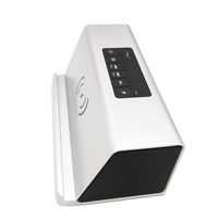 Tingji Wireless Charger&Bluetooth Speaker Series 2 (Silver)