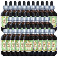 Ginkgo (Ginkgo Biloba) Glycerite, Organic Dried Leaves and Nuts Alcohol-Free Liquid Extract (Brand Name: HerbalTerra, Proudly Made in USA) 30x2 fl.oz (30x60 ml)