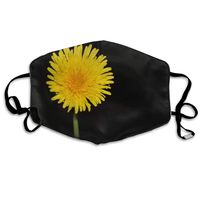 Yellow Flower Dandelion Dust Mask,Washable and Reusable Cleaning Gardening Outdoor Activities Warm Windproof Mask