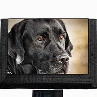 Black Labrador Dog Black TriFold Nylon Wallet Great Gift Idea