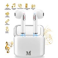 Wireless Earbuds Bluetooth Headphones, in Ear Bluetooth 5.0 Wireless Earbud Headphones with Microphone, Earbuds with Portable Charging Case for Work/Running/Travel Compatible iOS Android