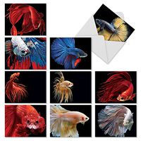 10 'Fancy Fins' Assorted Note Cards with Envelopes 4 x 5.12 inch, Blank Greeting Cards Featuring Betta Fish with Colorful Fins, Stationery for Birthdays, Holidays, Baby Showers, Thank You M1630BN