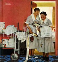 Hi-Look Microfiber Cleaning Cloth - Just Married (June 1957)