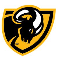Vcu Basketball Logo OriginalStickers0854 Set Of Two (2x) Stickers , Laptop , Ipad , Car , Truck , Size 4 inches on Longer Side