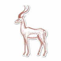Gazelle Pencil Drawn Full Color - 5" Vinyl Decal for Car, Macbook, or Other Laptop
