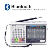 FM/AM/SW (1-7) 9-Wave Band Smart-US Rechargeable Portable Professional Radio That can be Used as MP3 and Speakers by Connecting Bluetooth, USB Sticks and Memory Cards (Silver)