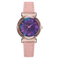 Cliramer Women's Fashion Simple Starry Dial Analog-Quartz Watch with Leather Belt (Pink)