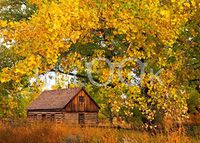 Hi-Look Microfiber Cleaning Cloth - Maltese Cross Cabin, North Dakota