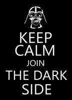 Keep Calm and Join The Dark Side STICKER DECAL VINYL BUMPER CAR Guitar Laptop