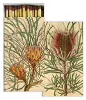 HomArt Large Decorative Protea Candle and Fireplace Wood Matches (Set of 12)