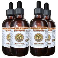 Echinacea Tincture, Echinacea (Echinacea Purpurea) Root Powder Liquid Extract 4x4 oz