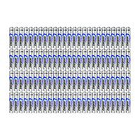 Energizer 100AAA Ultimate Lithium Long Lasting Leakproof Batteries