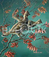 Hi-Look Microfiber Cleaning Cloth - Grouse