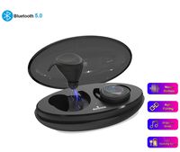 Wireless Bluetooth Earbuds with Charging Case, Ruishion True Wireless Earphones, TWS Bluetooth 5.0 Headsets (Reliability Connection, Built-in Mic, Auto Pairing, 3.5H Music Time and IPX5 Waterproof)