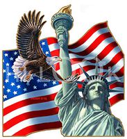 Hi-Look Microfiber Cleaning Cloth - Leberty Eagle