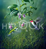 Hi-Look Microfiber Cleaning Cloth with Hummingbirds print