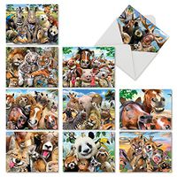 Assortment of 10 Funny Blank Note Cards Featuring Animals Being Goofy - 'Here's Looking at Zoo' Stationery Set of Greeting Cards 4 x 5.12 inch with Envelopes - Cards for Any Occasion M6639OCBsl