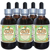 Olive (Olea Europaea) Glycerite, Organic Dried Leaves Alcohol-Free Liquid Extract (Brand Name: HerbalTerra, Proudly Made in USA) 5x2 fl.oz (5x60 ml)