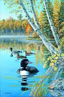 Hi-Look Microfiber Cleaning Cloth - Seasons of the Lake - Loons