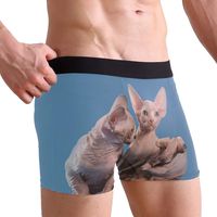 Canada Hairless Cat Men's Sexy Boxer Briefs Stretch Bulge Pouch Underpants Underwear