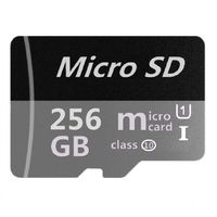 Micro Mini SD Card 256GB, XSSRUN Small Memory Card for Micro Mini SD/XC/HC Class 10 UHS-I High Speed Memory Card for Phone,Tablet and PCs - with Free Adapter