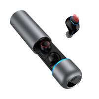 True Wireless Earbuds Bluetooth 5.0 - (2019) TWS Bluetooth Headset Earbuds HiFi Stereo Sound Binaural HD Call 30Hr Playtime Bluetooth Headphones Sport Earphones with Charging Case (Silver)