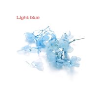 1 Box Dry Flower DIY Epoxy Resin Crafts Handmade Filling Materials Filler Dried Flowers Time Stone Jewelry Making Desk Decor,Light Blue