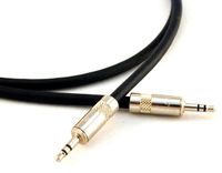 Conquest Sound IP18-20 20-Feet 1/8-Inch Stereo to 1/8-Inch Stereo Cable for iPad
