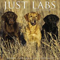 Just Labs 2019 Wall Calendar (Dog Breed Calendar)