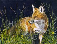 Hi-Look Microfiber Cleaning Cloth - Young Red Fox