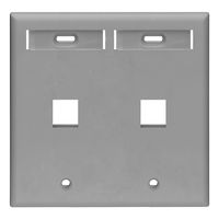 Leviton 42080-2GP 2-Port Dual Gang QuickPort Wallplate with ID Windows, Grey
