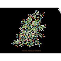 CANVAS ON DEMAND Insulin Molecule Wall Decal, 40"x30"