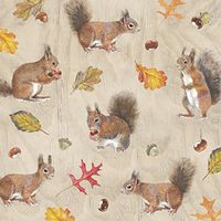 IHR 20 Luxury Paper Lunch Napkins- Squirrels
