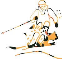 hBARSCI Skiing Vinyl Decal - 5 Inches - for Cars, Trucks, Windows, Laptops, Tablets, Outdoor-Grade 2.5mil Thick Vinyl - Leopard Print