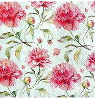 CR Gibson Cocktail Beverage Paper Napkins, Freshly Picked, 20 ct
