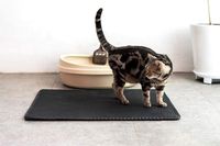 Large Cat Litter Mat Litter Trapping Pads,Waterproof and Urine Proof Trapping Mat Easy Clean (Black, 40×50cm)