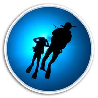 2 x 10cm Scuba Diver Vinyl Stickers - Diving Ocean Sticker Laptop Luggage #8344 (10cm Wide)