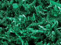 Pack of 1, Green Crinkle Cut Paper Shred 10 Lb Spring-Fill Shred to Fill Easter Baskets & Gift Bags & Boxes