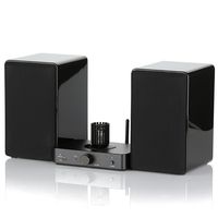 Dared Mars Hybrid Vacuum Tube Amplifier&SP-02 2 Way Bookshelf Loudspeaker System（Component）