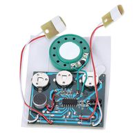 30s Recordable Music Sound Voice Recording Module Device Chip 0.5W with Button Battery for Greeting Card DIY Audio Cards Gifts(Wired Double Button Control)