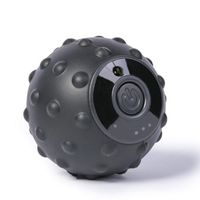 Lana Electric Massage Ball, deep Muscle Relaxation Fascia Sole Foot Cervical Vertebra Yoga Ball (Color : Black)