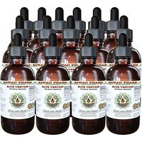 Blue Vervain Alcohol-Free Liquid Extract, Organic Blue Vervain (Verbena Hastata) Dried Above-Ground Parts Glycerite Hawaii Pharm Natural Herbal Supplement 15x4 oz