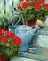 Hi-Look Microfiber Cleaning Cloth - Touch of Scarlet