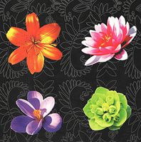 Floral Photo Set of 6 Blank Notecards ~ Floral Collage (Asiatic Lily, Water Lily, Crocus, Blossom; 5" x 5"; White Envelopes)