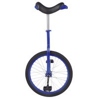 Fun 20 Inch Wheel Unicycle with Alloy Rim, Blue