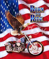 Hi-Look Microfiber Cleaning Cloth - Born to Ride