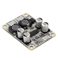 WINGONEER TPA3110 PBTL Mono Digital Amplifier Board AMP Module 1x30W Power AMP DC 8-26V