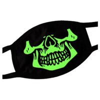 Phoenix Wonder Noctilucent Earloop Mouth Face Mask 100% Cotton Creative Mask A