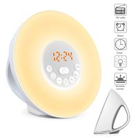 Wake Up Light, Nature Light Sunrise Simulation Alarm Clock Touch Control Night Light for Bedrooms, Snooze Function Wake-Up Light with USB Charger FM Radio for Heavy Sleepers(6640)