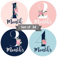 Baby Monthly Stickers | Floral Baby Milestone Stickers | (Set of 24) | Newborn Girl Stickers | Month Stickers for Baby Girl | Baby Girl Stickers | Newborn Monthly Milestone Stickers (Set of 24)
